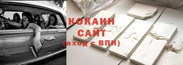 дурь Гусиноозёрск