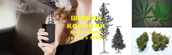 дурь Гусиноозёрск