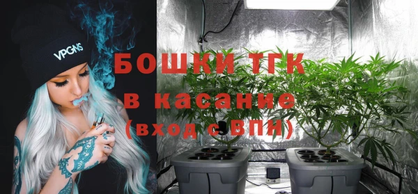дурь Гусиноозёрск