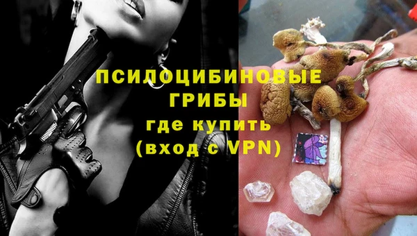 дурь Гусиноозёрск