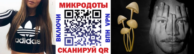 сколько стоит  мега ССЫЛКА  Псилоцибиновые грибы Psilocybe  Янаул 